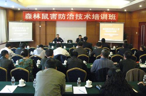 ����ɭ���󺦷��� ���g(sh��)��Ӗ(x��n)